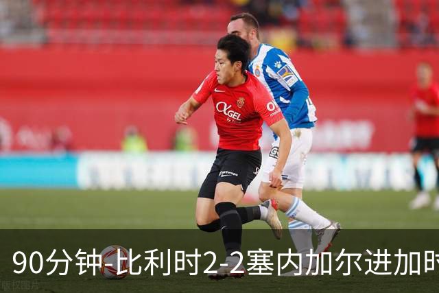 90分钟-比利时2-2塞内加尔进加时 卢卡库替补建功蒂莱曼斯绝平